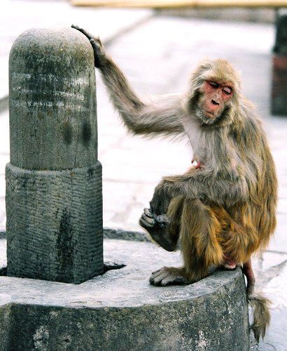 В мечтах о большом и светлом...