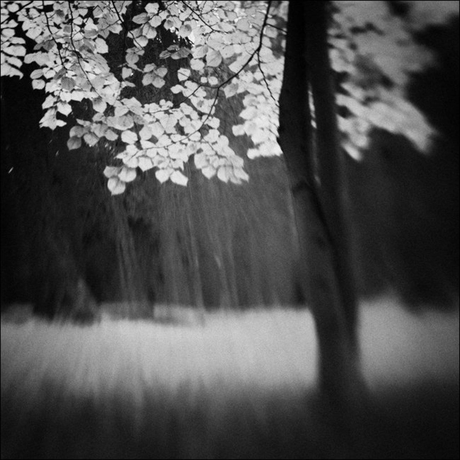 , Сергей Чубаров