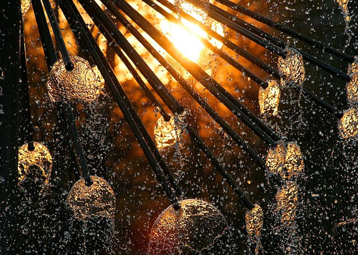 свет, вода, солнце, Андрей Заржецкий