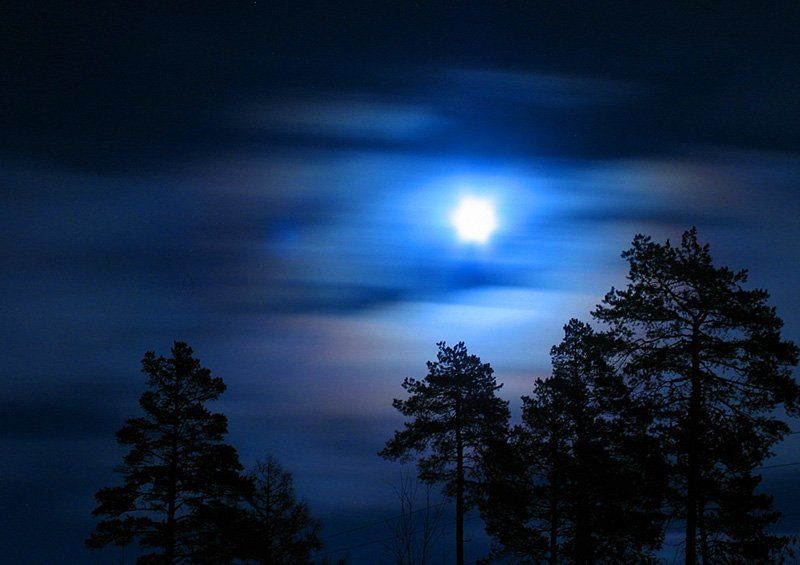 ночь, луна, силует полнолуние фото превью