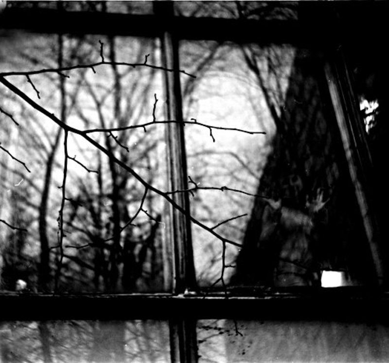 В отраженьях незнакомка фото превью