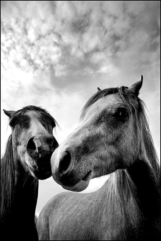 Это любоФФ... фото превью