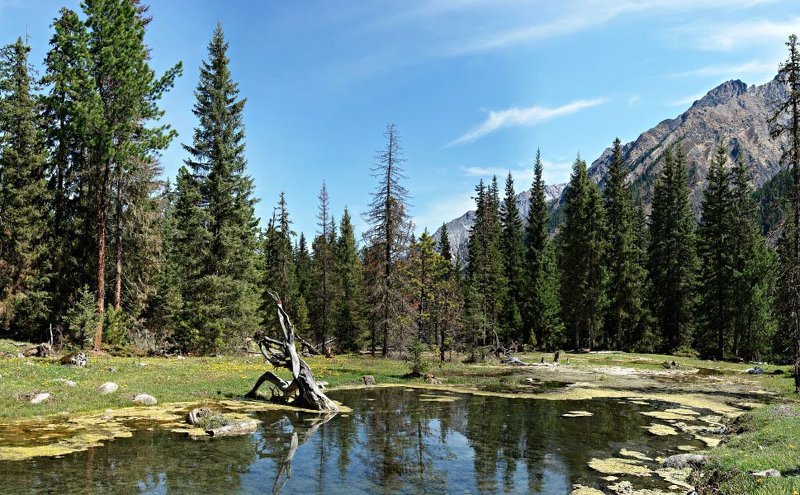 *** фото превью