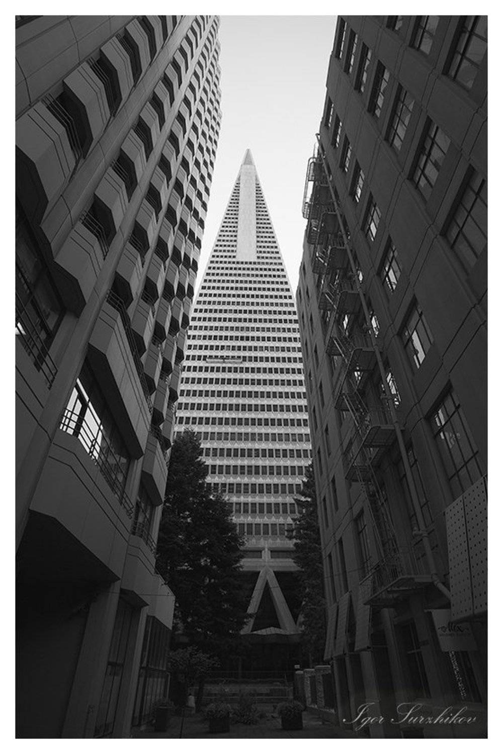 сан-франциско, Игорь Суржиков