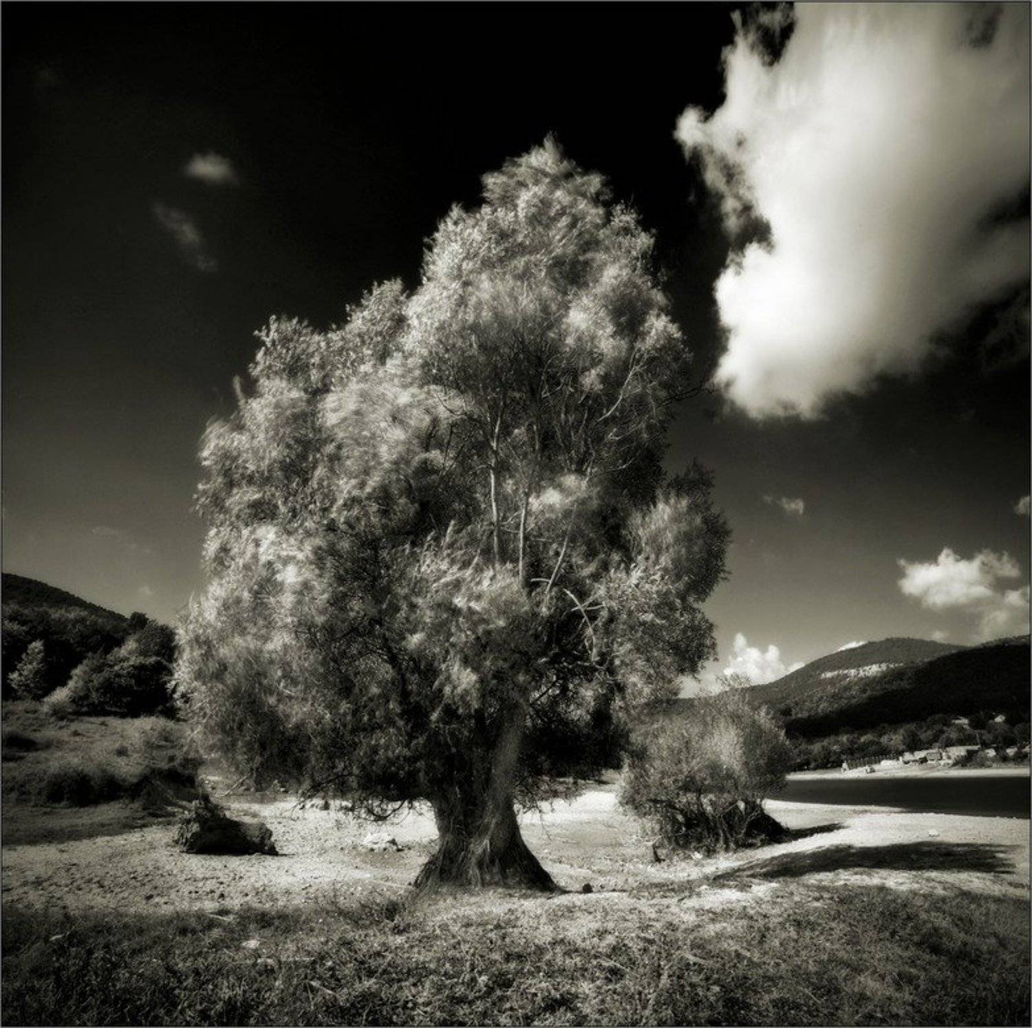 пейзаж, Ivan Dzyuba