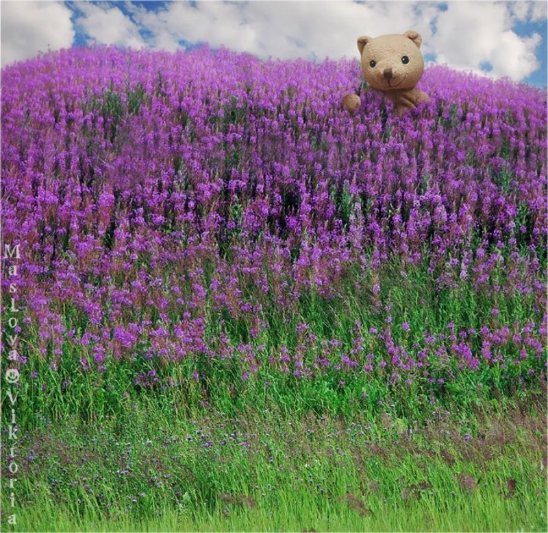 Кусочек лета фото превью