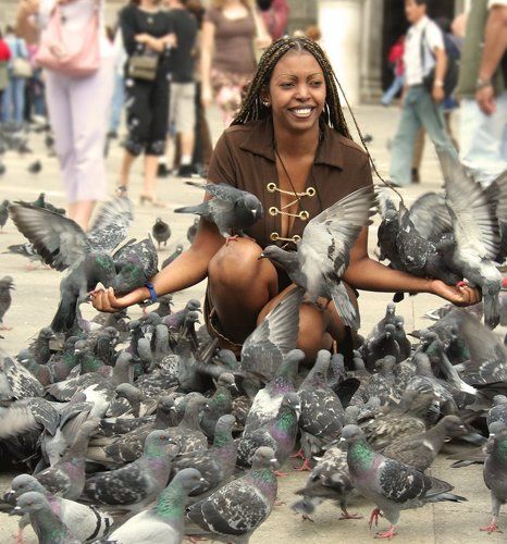 Чернокожая голубка