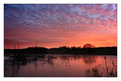 Утро 19-го ...