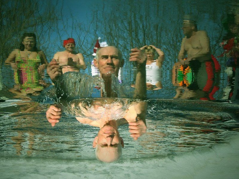 моржи, холод О переселении душ фото превью