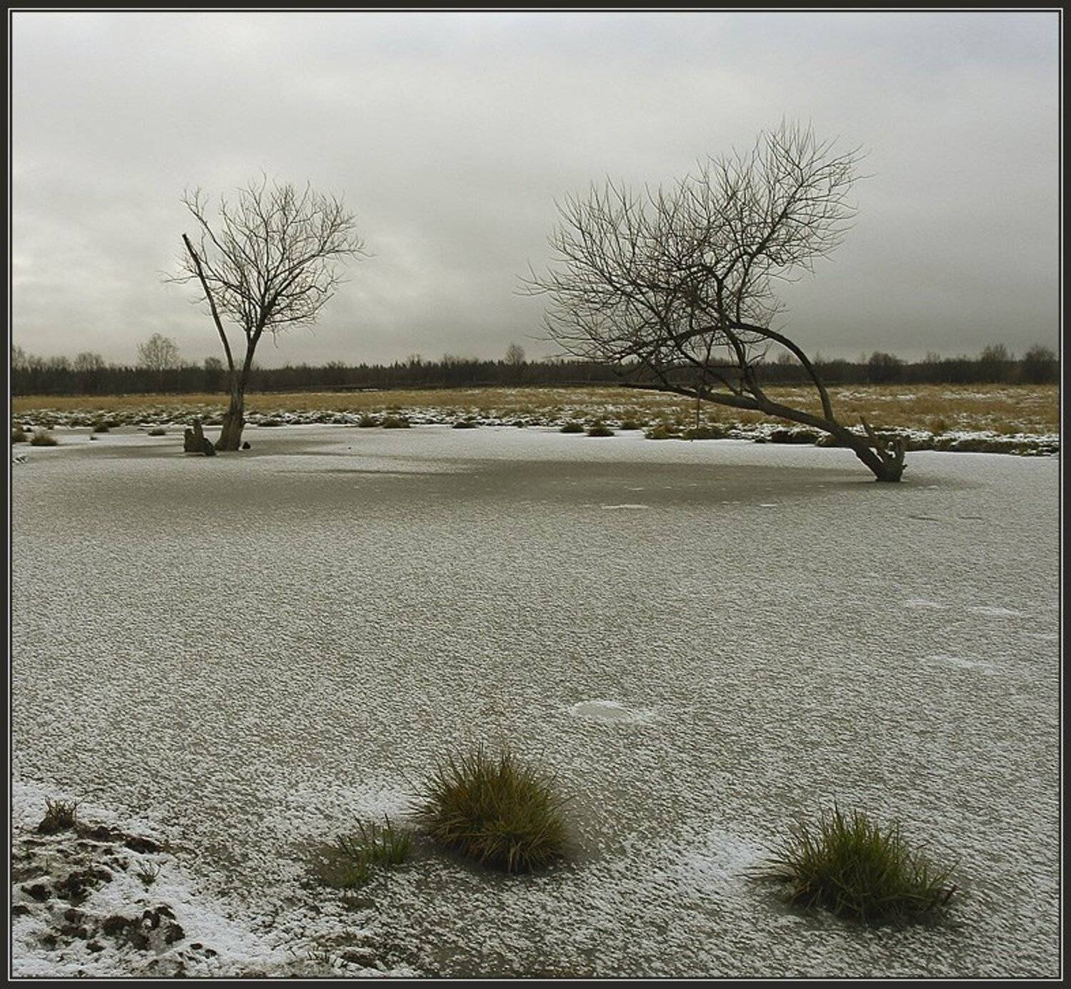 , Зайцев Владимир