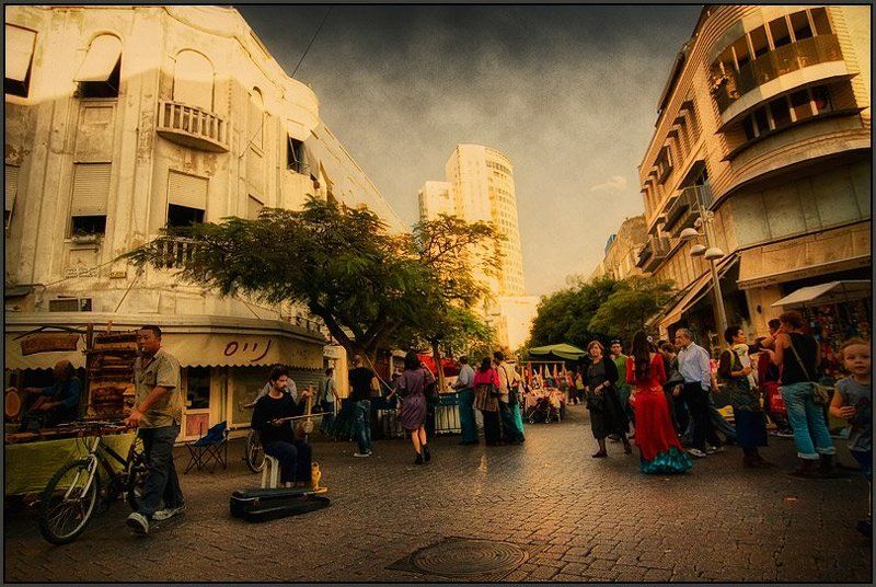 TLV 2946 фото превью