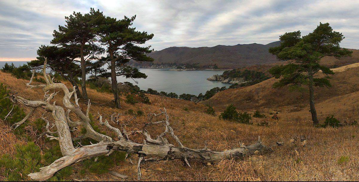 , Дмитрий Корнилов