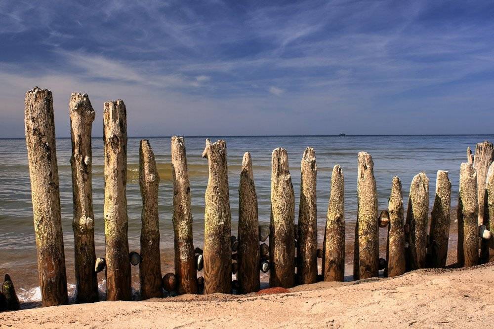 , Павел Дунюшкин