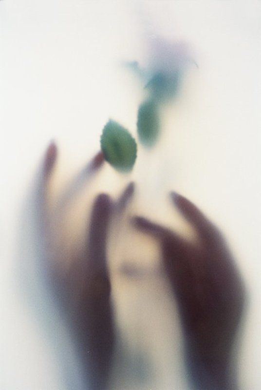 Чувство фото превью