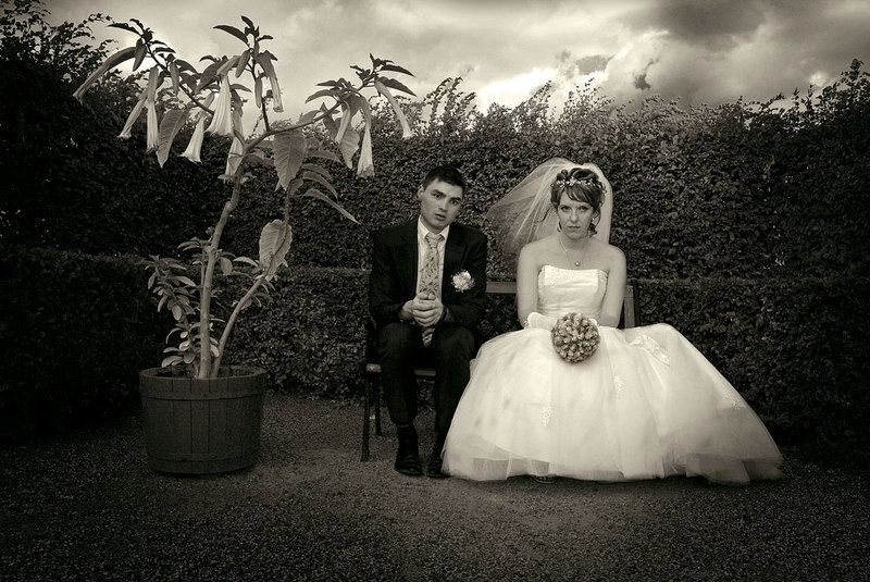 свадьба, невеста, жених, юмор, парк, небо,  фото превью