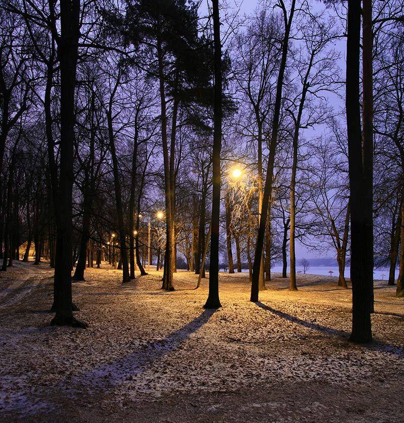 утро,деревья, VTORNIK Эдуард Николаев