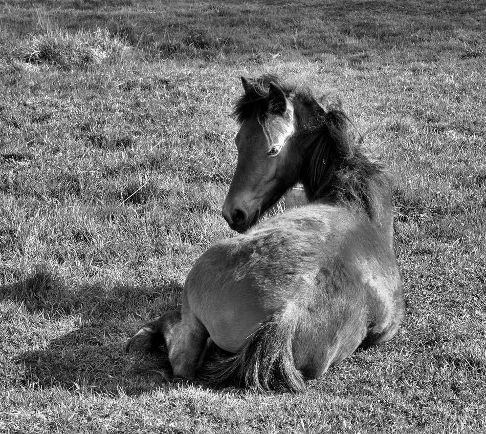 , Павел Дунюшкин