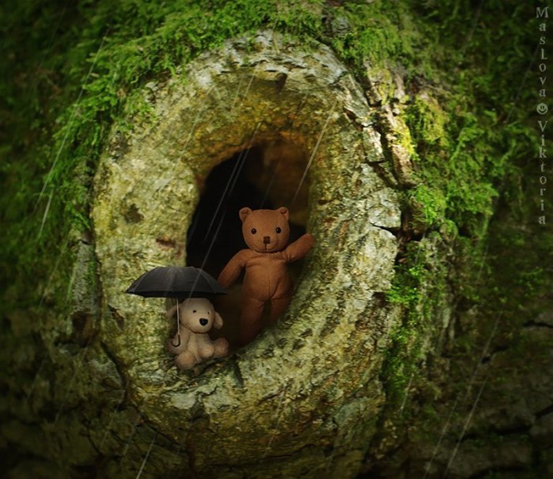 мишка Про дождь фото превью