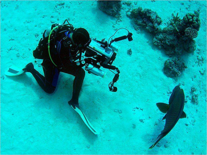 египет, видеооператор, Сергей Шанин