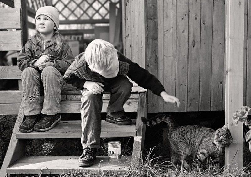 дети, кошак дачная фото превью