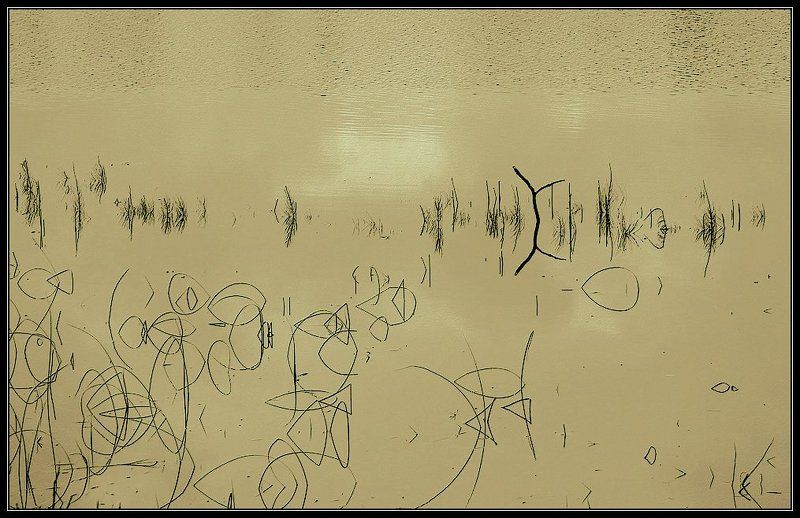 Графика природы... или озёрные иероглифы фото превью