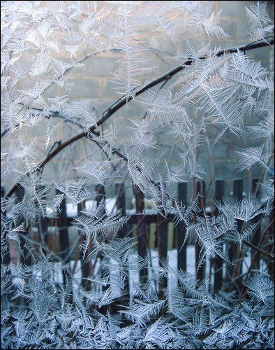 приметы Рождества