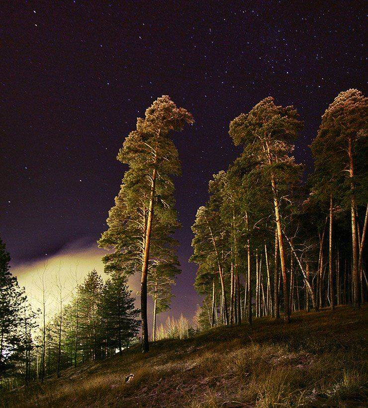 ночь,звезды,сосны, VTORNIK Эдуард Николаев