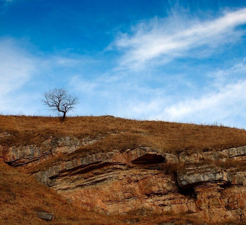 карачаевво-черкесия, плато бермамыт, скалы, облака, дерево *** фото превью