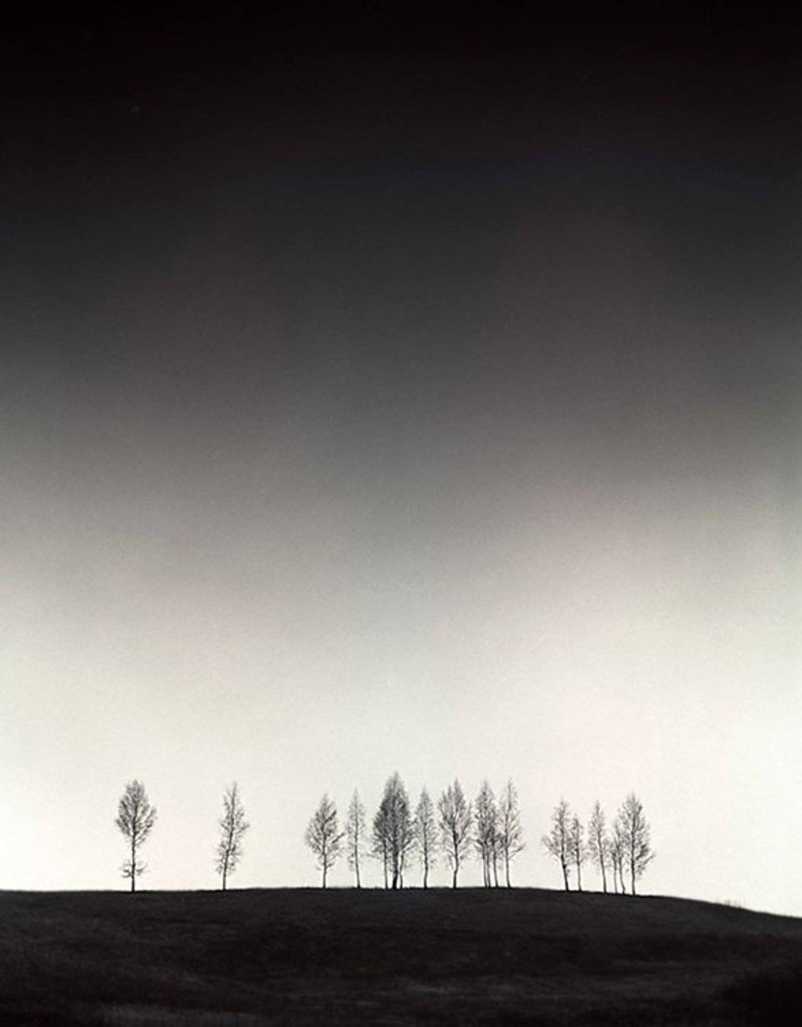 , Токарь Дмитрий