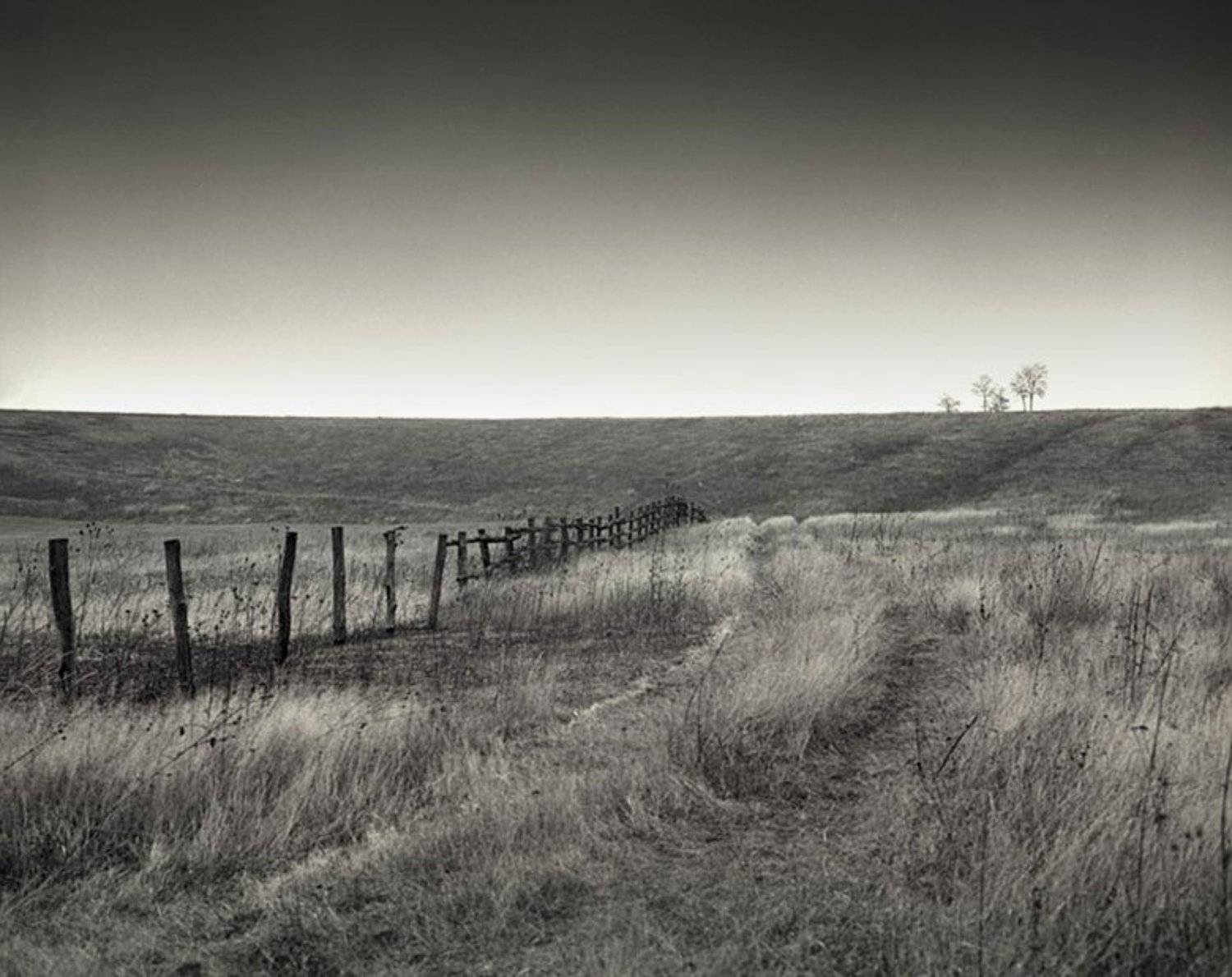 , Токарь Дмитрий