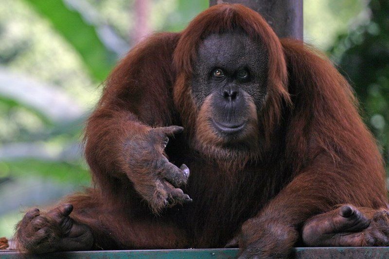 №5 (Подойди, фотограф...) фото превью