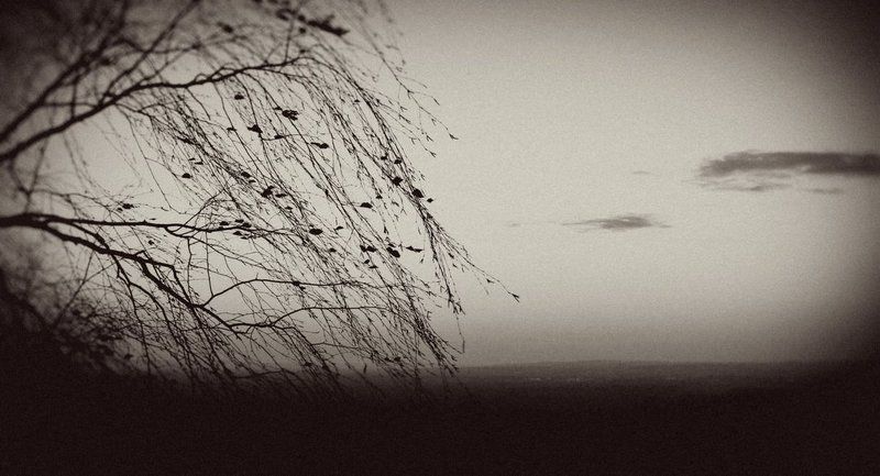 белая фото превью