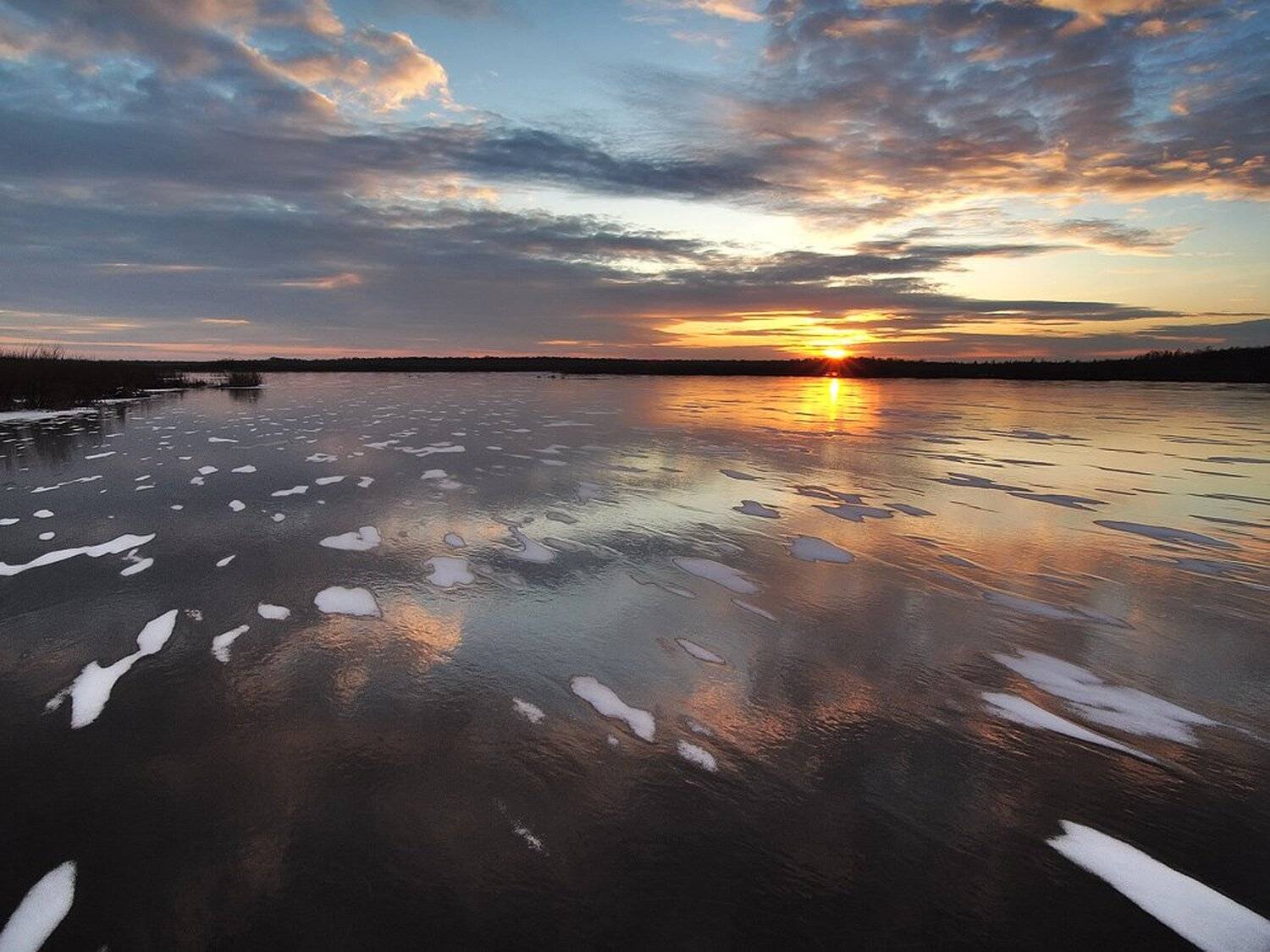 , Максим Евдокимов