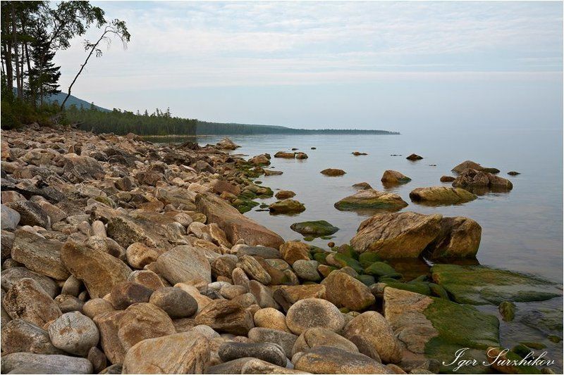 Утренняя фото превью