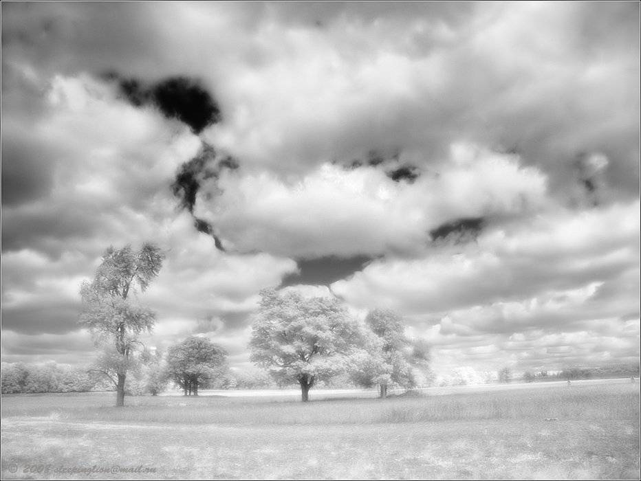 ик, пейзаж, infrared, инфракрасный, инфракрасное, pilgrim, hoya r72, minolta dimage 7, Pilgrim