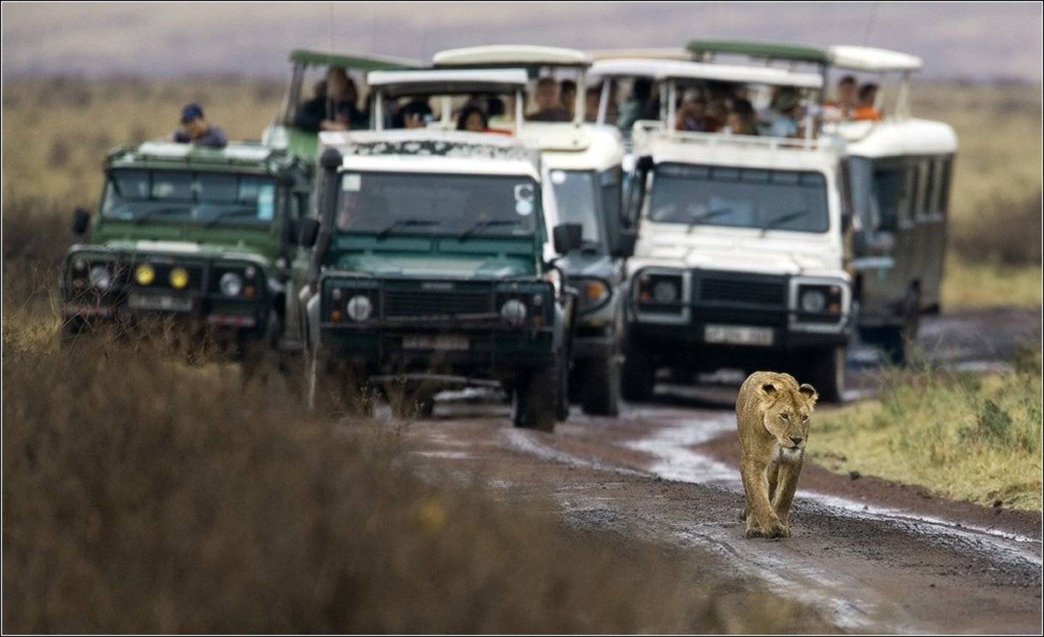 , Игорь Гущин