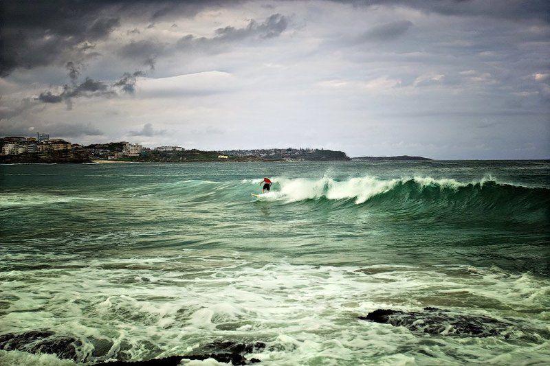 Смельчак. фото превью