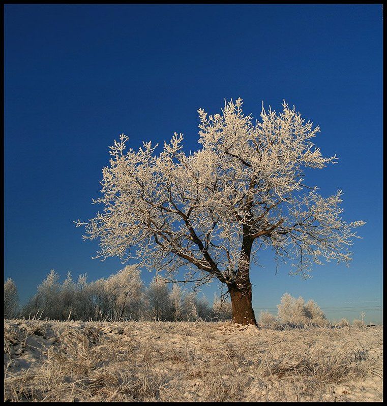 * * * фото превью