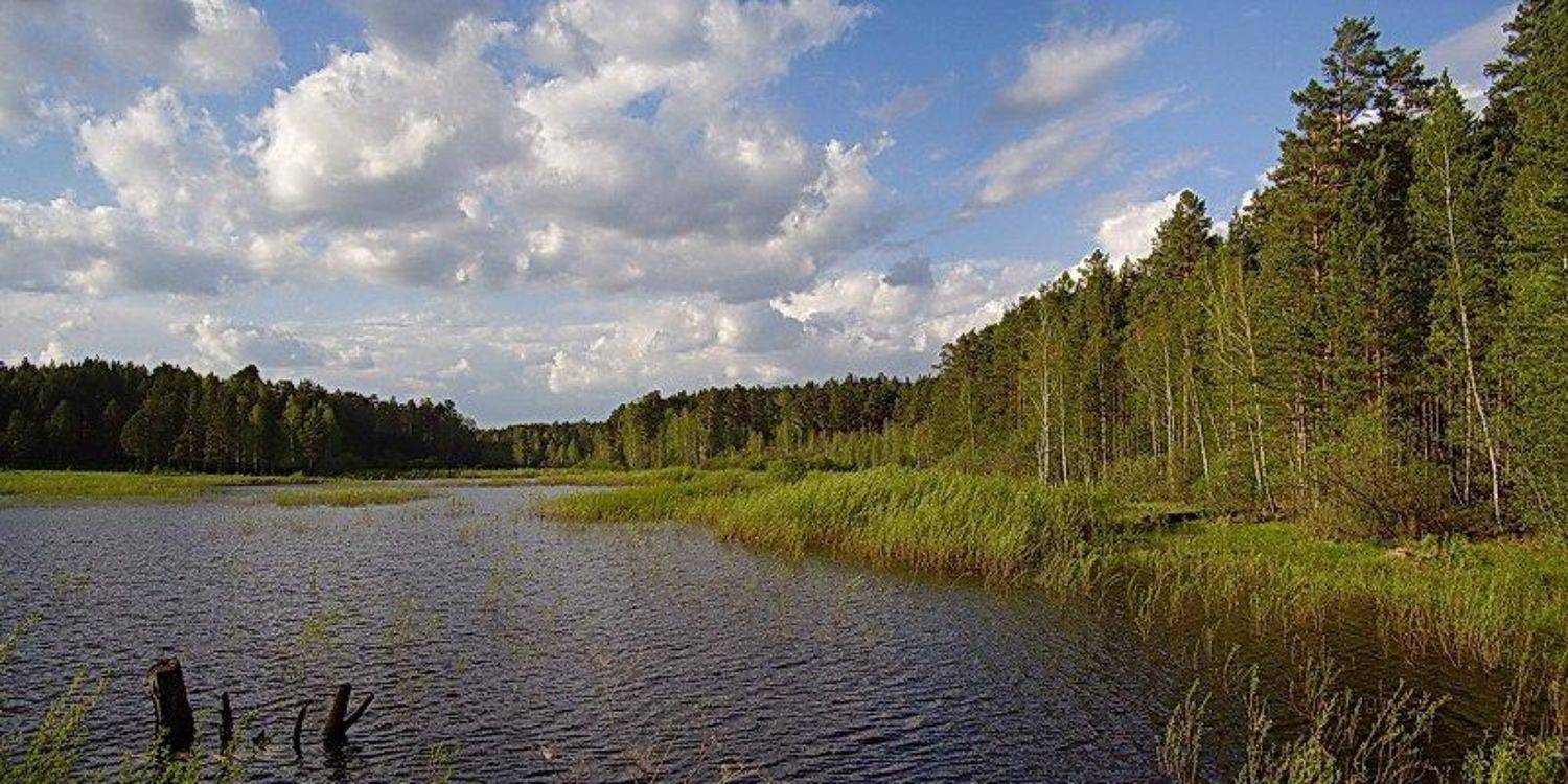 лето, пейзаж, природа, панорама, Наталья Герасименко