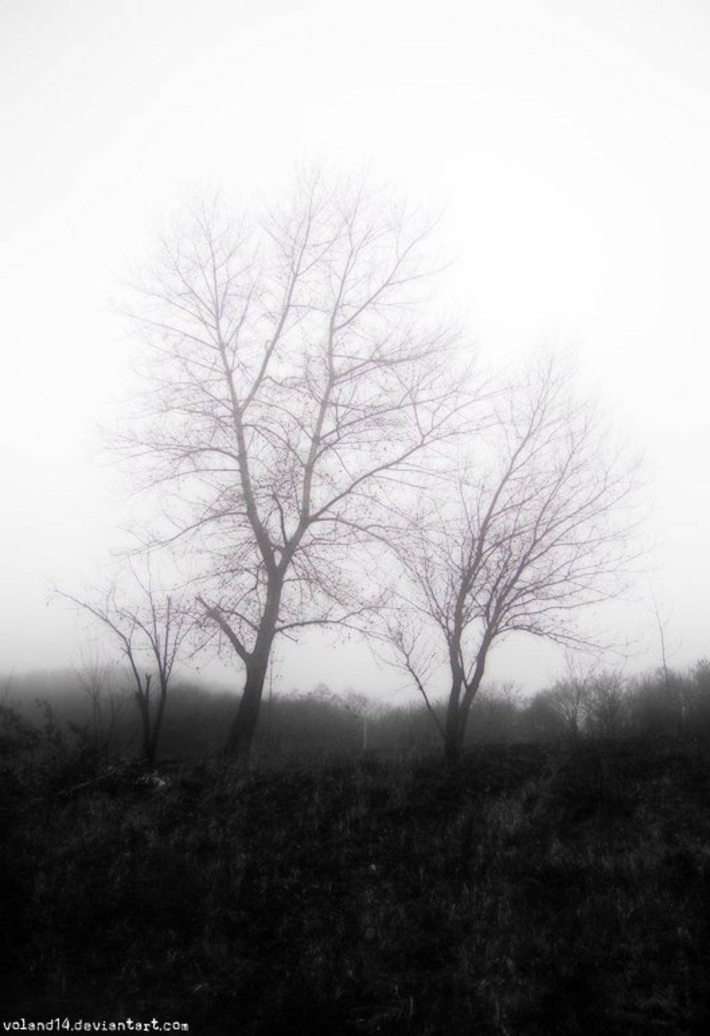 , Воланд Ратибор