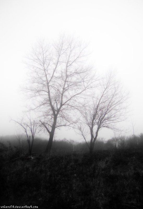 Туман фото превью