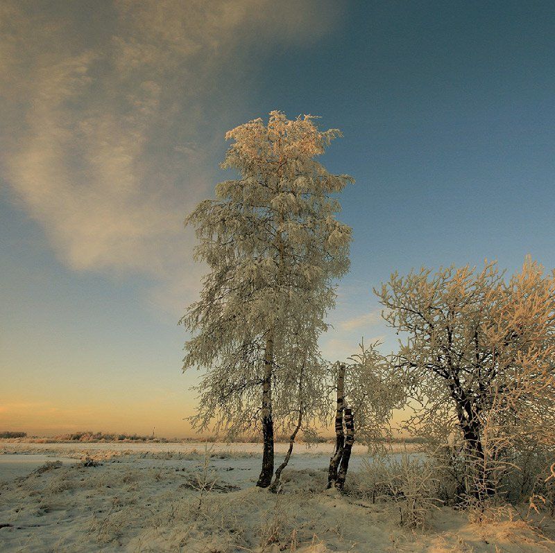 * * * фото превью