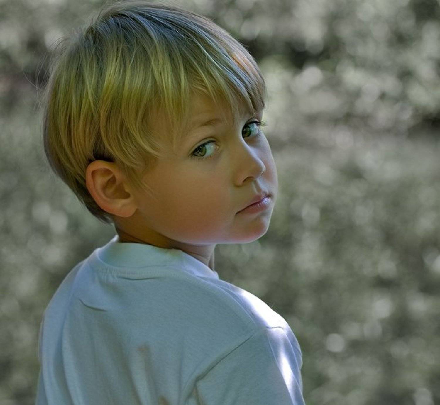 взгляд, Ольга Новикова