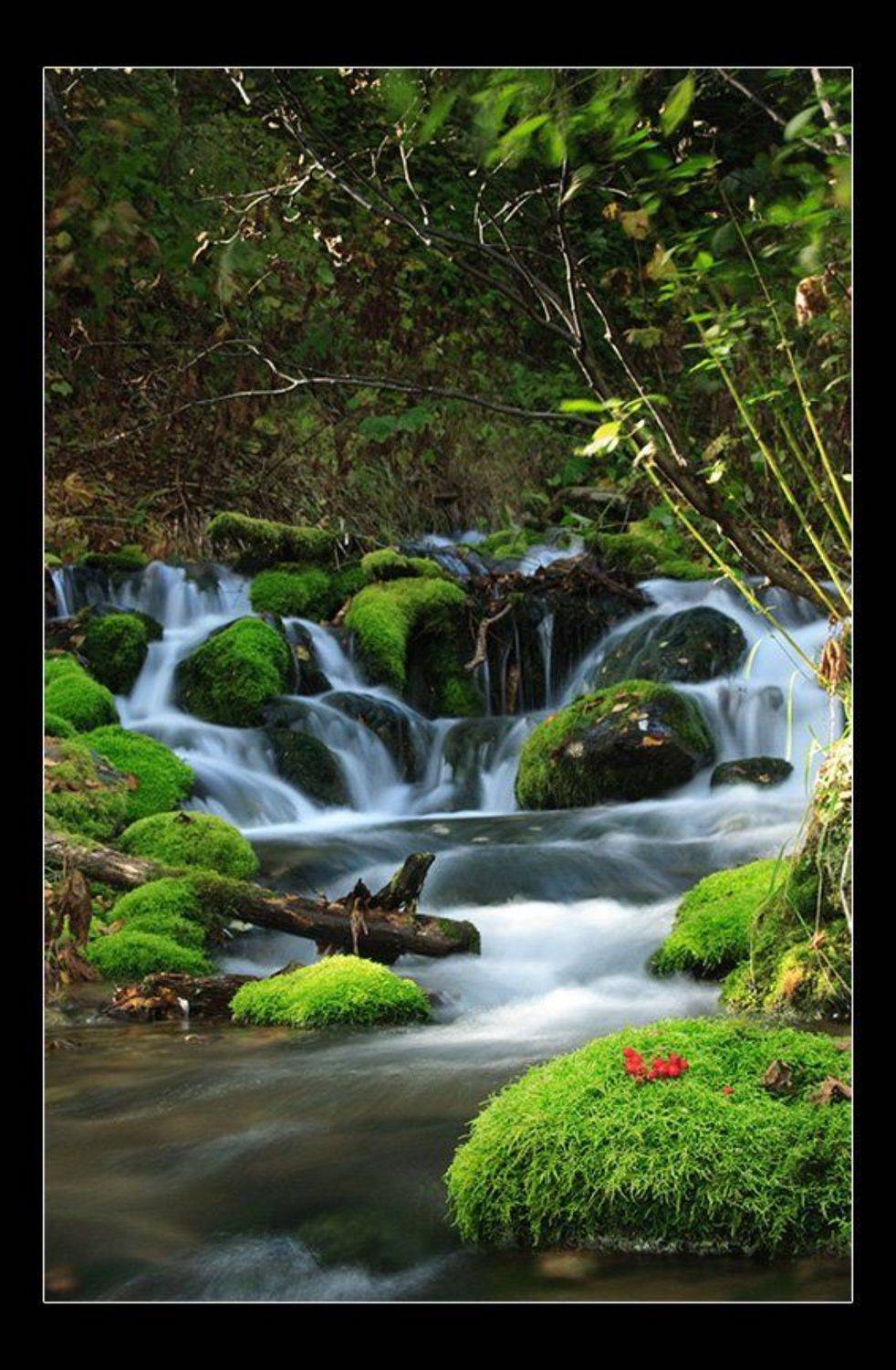 камчатка, зайкин, ручей, Денис Будьков