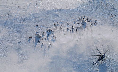 Гости прилетели..