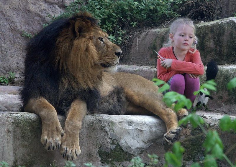 Аслан и Люси фото превью