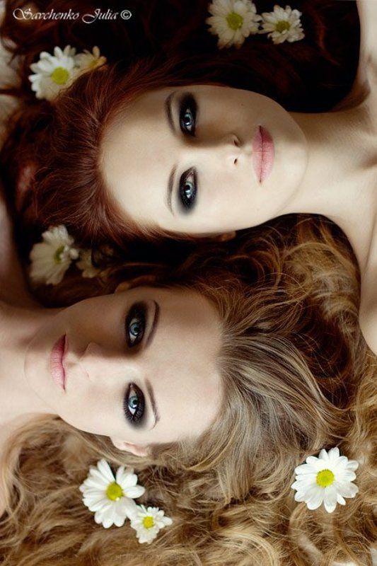 *мои ромашки* фото превью