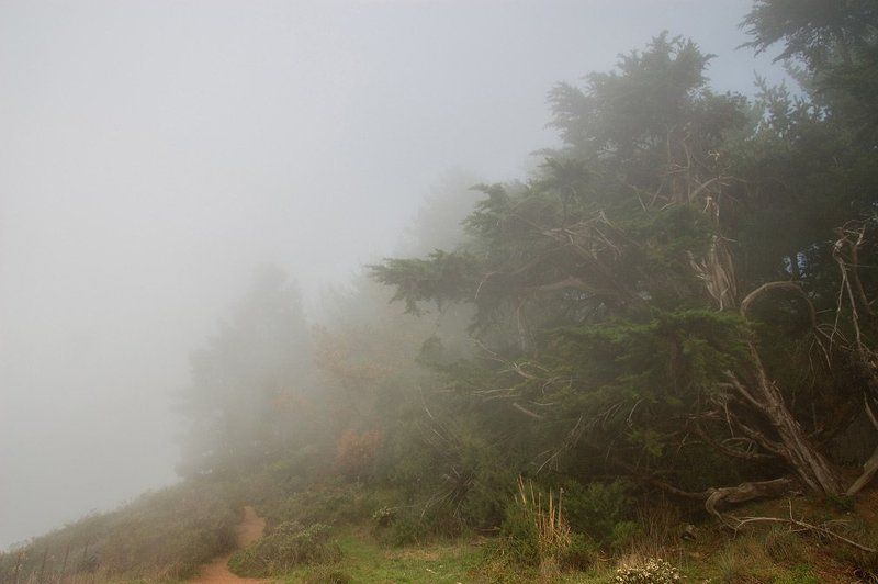 туман Туман 3 фото превью