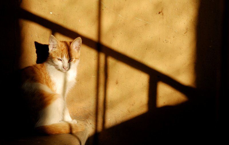 Жизненное пространство фото превью