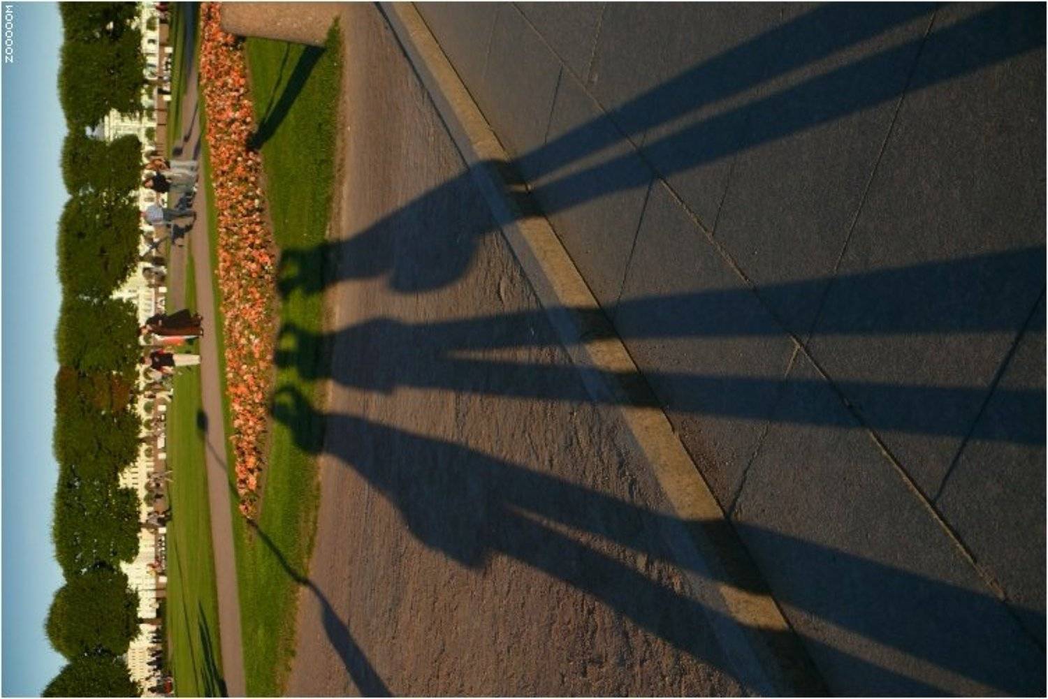 фотографы, Алексей (zooooom)